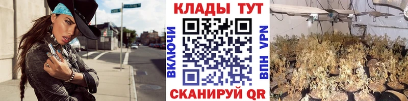 Купить наркотики Судогда Кокаин  Псилоцибиновые грибы  АМФЕТАМИН  Гашиш  МЕФ 