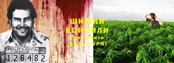 apvp Аркадак