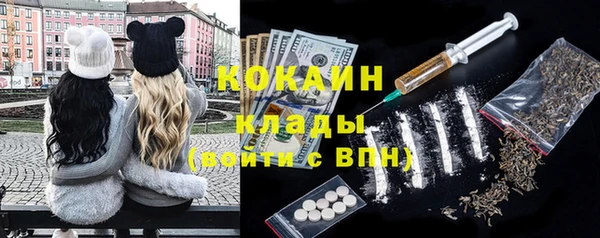 дживик Арсеньев