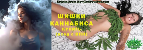 твердый Протвино