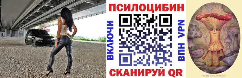 Галлюциногенные грибы ЛСД  Судогда 