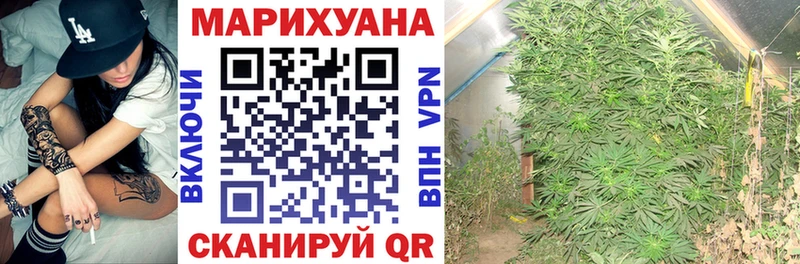 где найти   Судогда  сайты даркнета формула  МАРИХУАНА ГИДРОПОН  blacksprut ССЫЛКА 